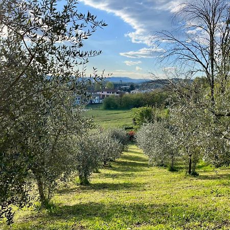 Il Nido Di Margherita San Giovanni Valdarno Buitenkant foto