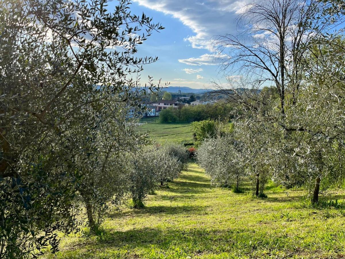 Il Nido Di Margherita San Giovanni Valdarno Buitenkant foto